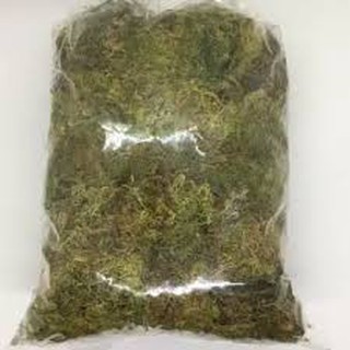 Gói 200g rêu rừng xanh ghép phong lan, trồng lan
