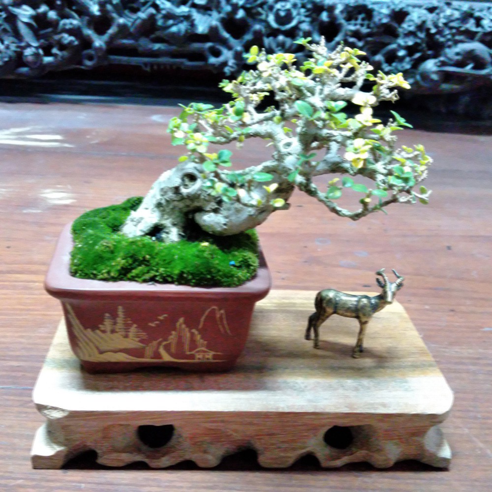 Tượng dê mini bằng đồng giá rẻ làm phụ kiện tiểu cảnh, phụ kiện bàn trà, trang trí bonsai, làm quà tặng | BigBuy360 - bigbuy360.vn
