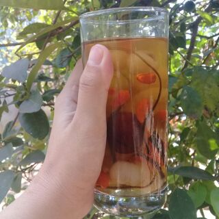 Set Mủ trôm - long nhãn- kỷ tử- táo đỏ- phổ tai