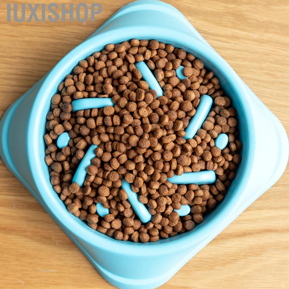 Iuxishop Dog Slow Food Bowl Feeder to Help Digestion with Stable Base for Dogs and Cats