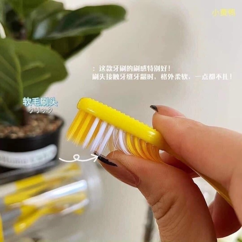 Set hộp 8 bàn chải đánh răng 2 đầu lông mềm 2 in 1 kèm cạo lưỡi G.duck