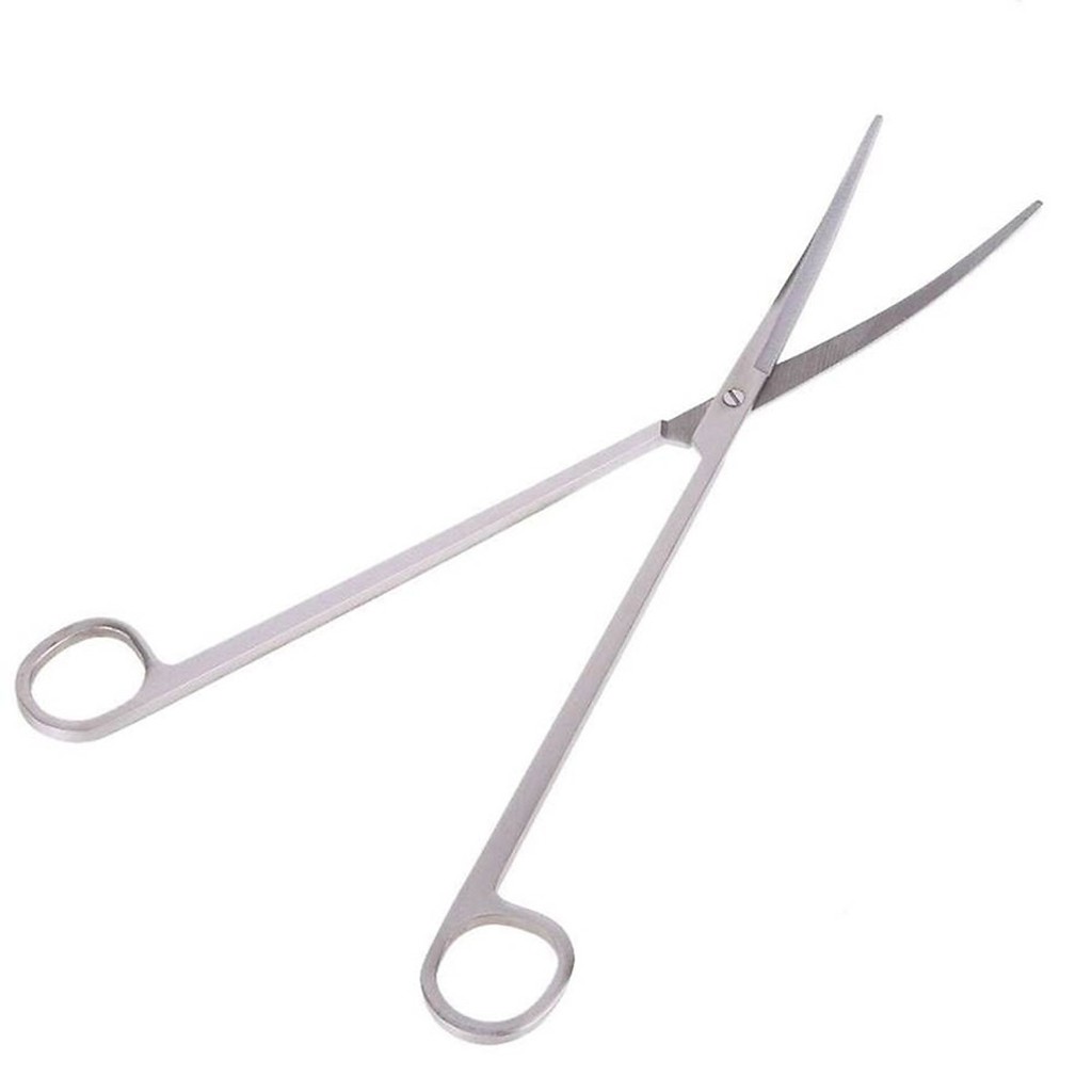 Kéo Inox Thủy Sinh 25cm - Cắt Tỉa Cây Thủy Sinh