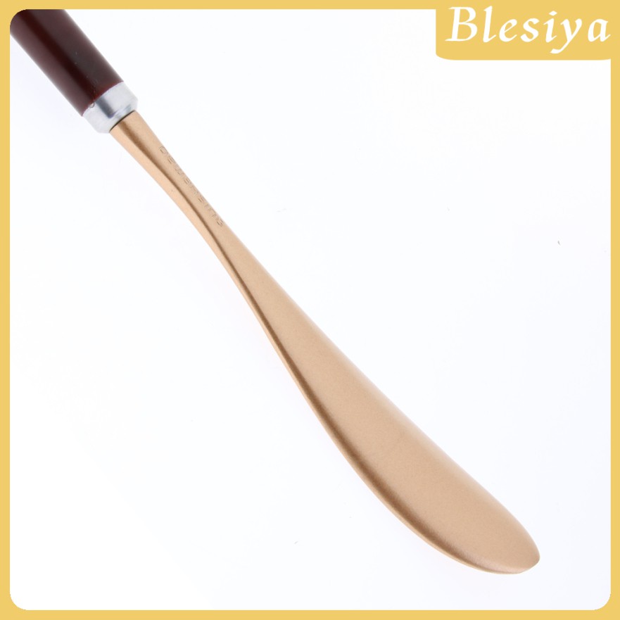 [Blesiya] (Hàng Mới Về) Dụng Cụ Hỗ Trợ Mang Giày Chuyên Nghiệp Với Tay Cầm Dài