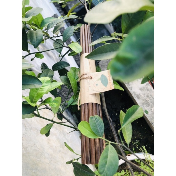 Đũa Buông Bình Thuận/ bó 10 đôi