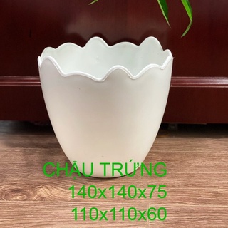 CHẬU NHỰA SEN ĐÁ