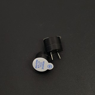 Loa chip 5v
