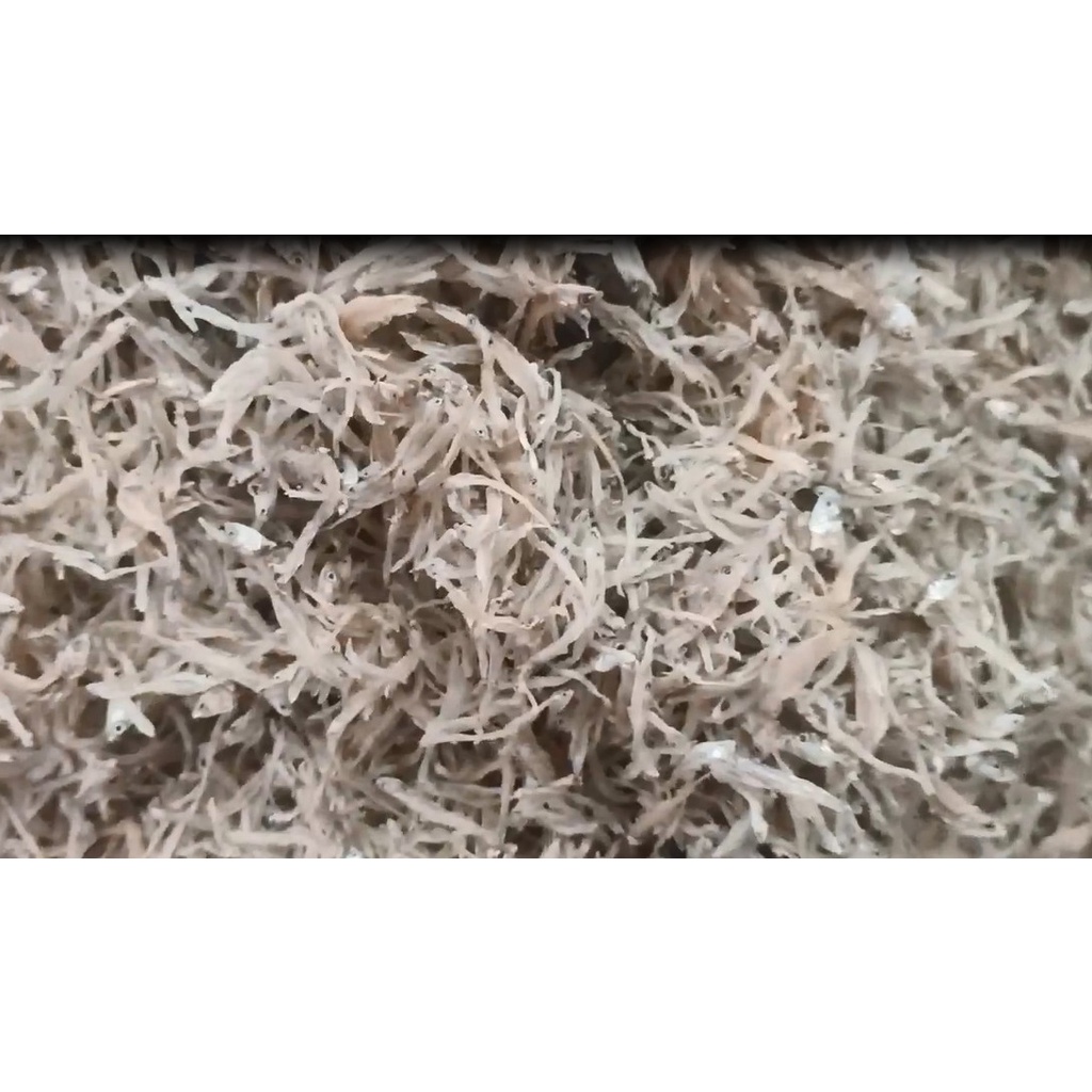 Mờm sữa khô/ khô cá mờm sữa/ hàng chuẩn loại 1, trắng đẹp, sàng sẩy nhặt sạch/ đóng gói 100g, 300g, 500g