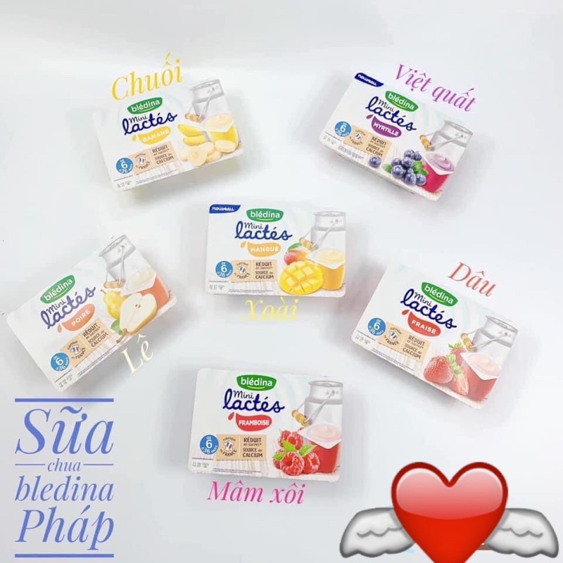 [HSD- 6/22]SỮA CHUA BLEDINA pháp vỉ 6h x 55g