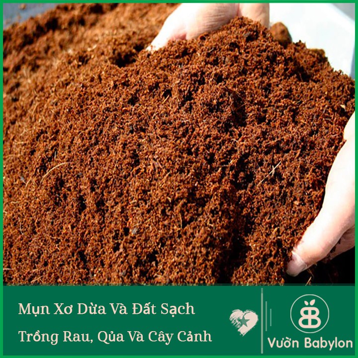 Giá Thể Mùn Xơ Dừa Trồng Cây Sfarm Chất Lượng Cao Bao 20dm3