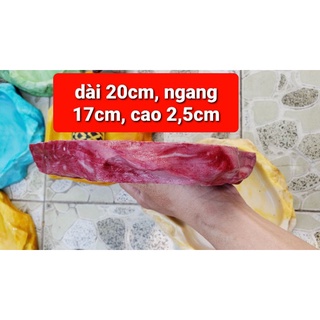 Chén ăn +máng nước cho Rùa và bò sát.