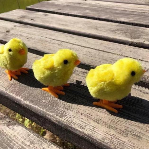 Gà Con Lên Dây Cót Dễ Thương Cho Bé !