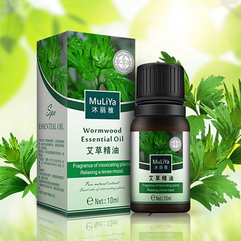 Tinh Dầu Thơm Hữu Cơ Massage Thư Giãn Cơ Thể 10ml