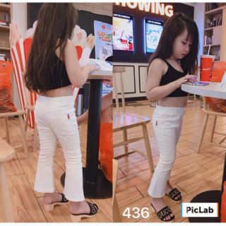 Quần sỉ combo 320k