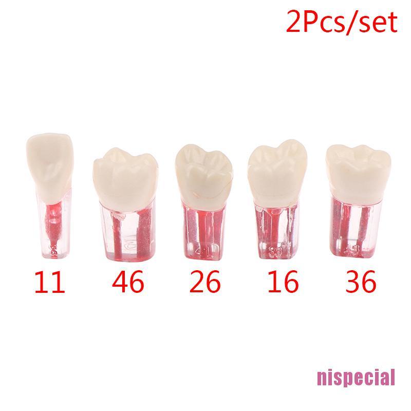 (Hàng Mới Về) Bộ 2 Chiếc Răng Giả Bằng Nhựa