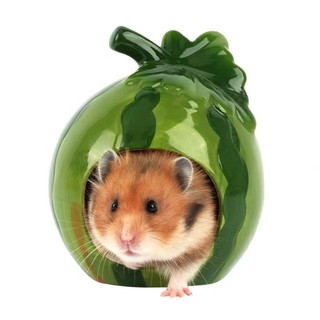 nhà sứ dưa hấu cho hamster