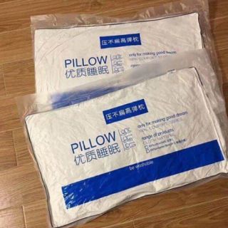 [Complex]đôi ruột gối hilton cao cấp