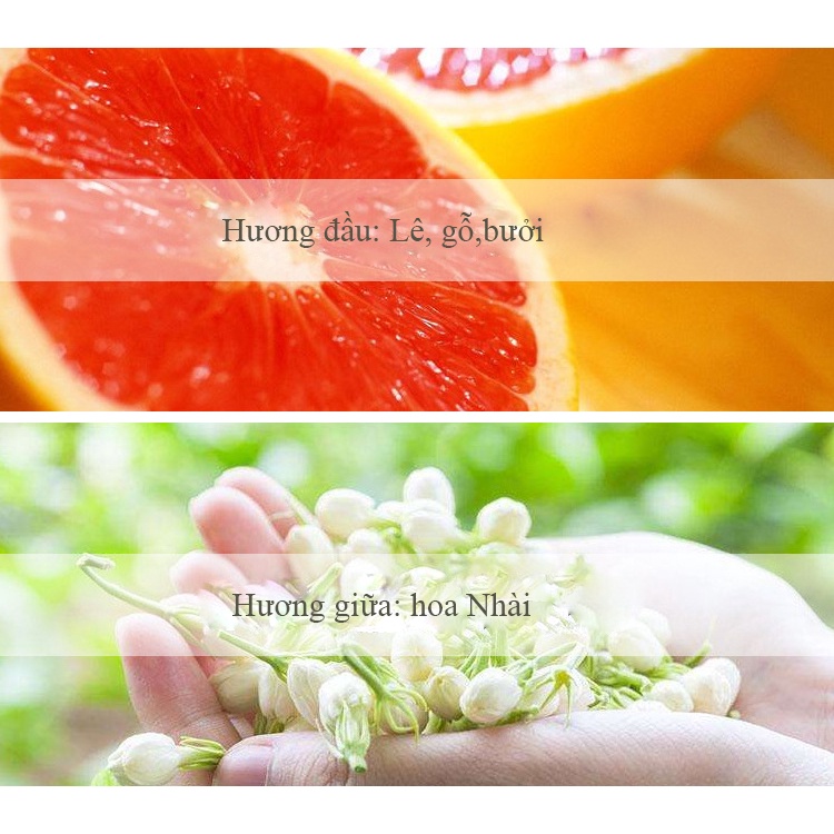 Nước Hoa Nu Chavnk Mang Hương Thơm Nhẹ Nhàng Tinh Tế Từ Thiên Nhiên, Điểm Tô Sự Dịu Dàng, Thanh Khiết Của Bạn