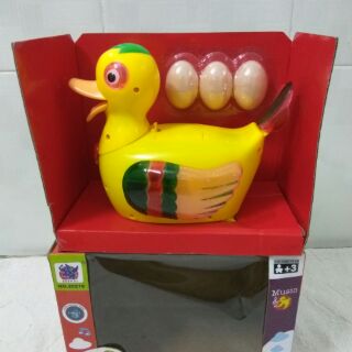 Vịt đẻ trứng loại lớn
