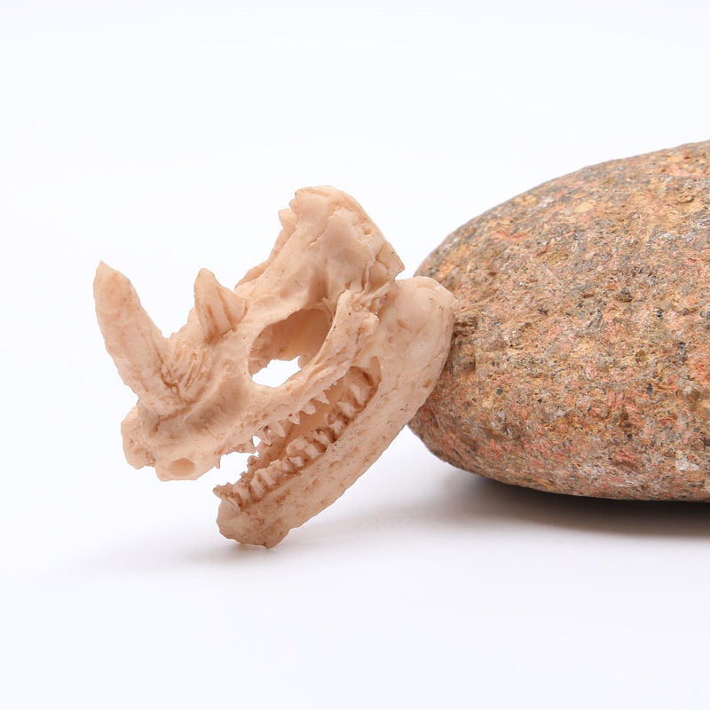 Đồ Trang Trí Bể Cá Hình Khủng Long, Cừu, Đầu Lâu Tê Giác