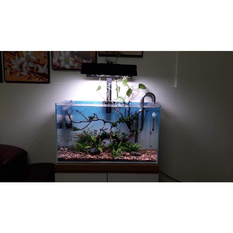 SHADE HT TS4U vs ĐÈN CHẾ MÁNG AQ32 32cm CHẤT LIỆU INOX 430