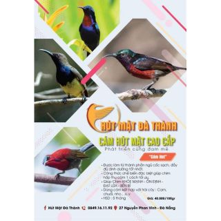 Cám chim hút mật cao cấp- hút mật đà thành