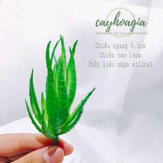 Cây Giả - Sen Đá SiLiCol Nha Đam