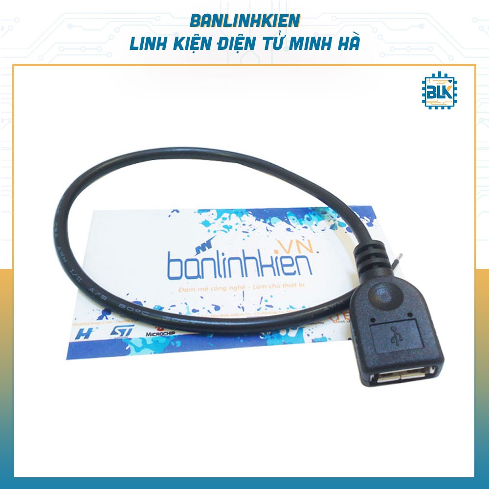 Dây USB A Cái 30CM 1 Đầu | BigBuy360 - bigbuy360.vn