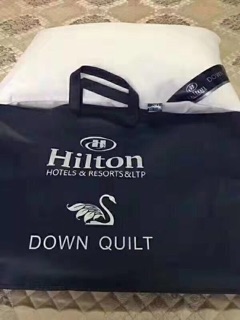 Cặp ruột gối lông vũ Hilton