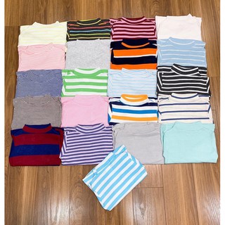 Bộ borip cotton vnxk cổ 3cm