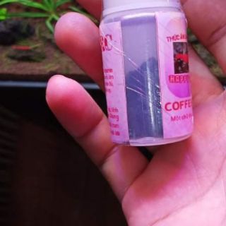 Thức ăn dành cho tép đỏ