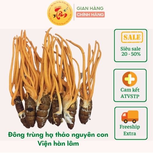 5 con Đông trùng hạ thảo nguyên con ký chủ nhộng tằm - Viện Hàn lâm KH&CN Việt Nam