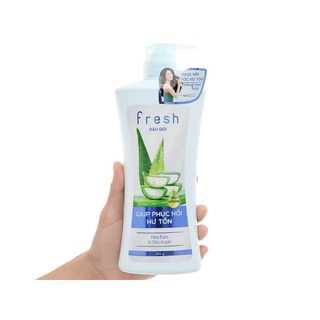 DẦU GỘI FRESH GIÚP PHỤC HỒI HƯ TỔN TINH CHẤT NHA ĐAM & DẦU Argan