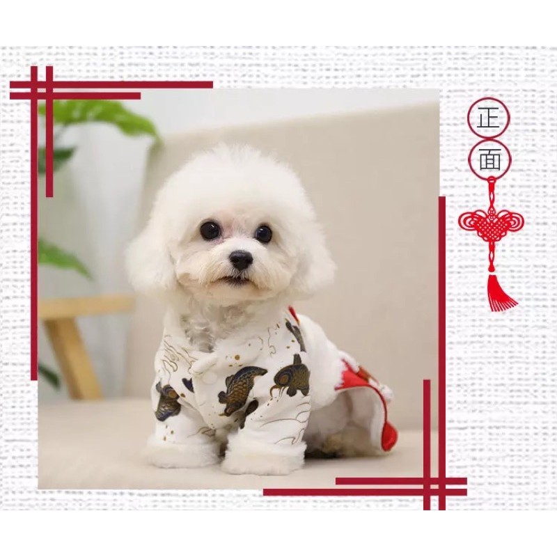Váy tết siêu xinh cho cún miu 🧧