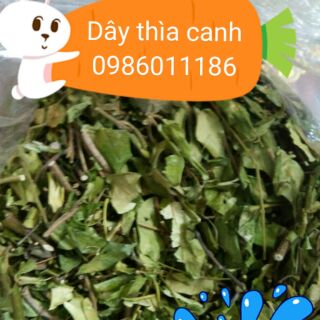 Dây thìa canh