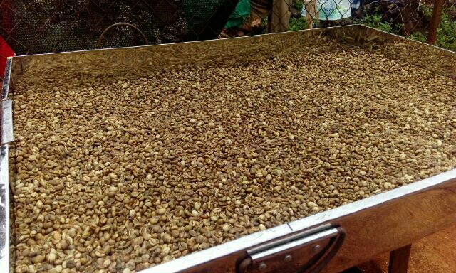 CAFE BỘT NGUYÊN CHẤT ROBUSTA MIKA 5KG | BigBuy360 - bigbuy360.vn