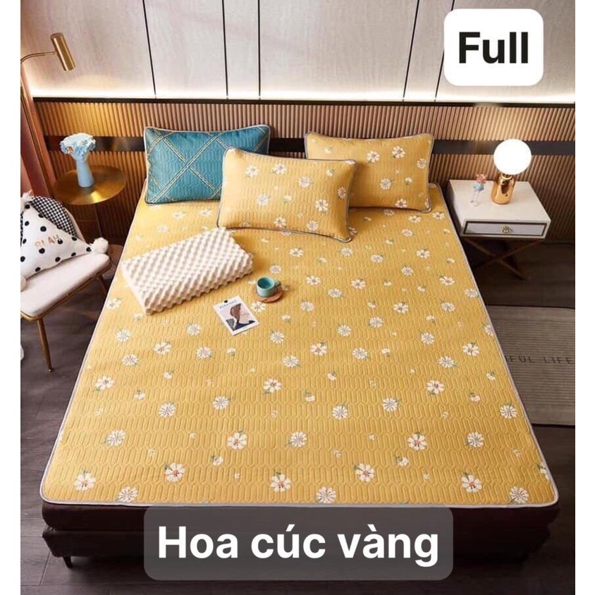 Chiếu điều hòa cao su non 5D Tencel,kích thước m6/m8/2m2, mẫu hoa cúc vàng