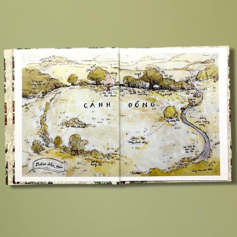Bộ sách Miền Dâu Dại - Bộ 4 cuốn - Crabit Kidbooks