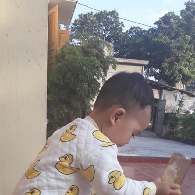 Nỉ trần bông