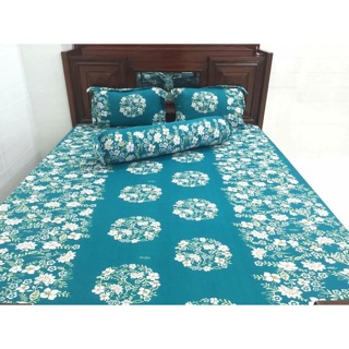 Trọn bộ drap thun Hàn Quốc