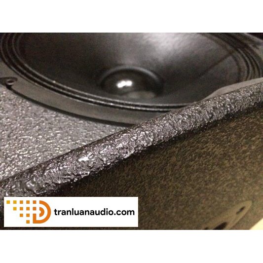 Loa hội trường martin F15