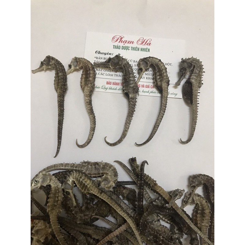 CÁ NGỰA KHÔ SIZE 6-8CM