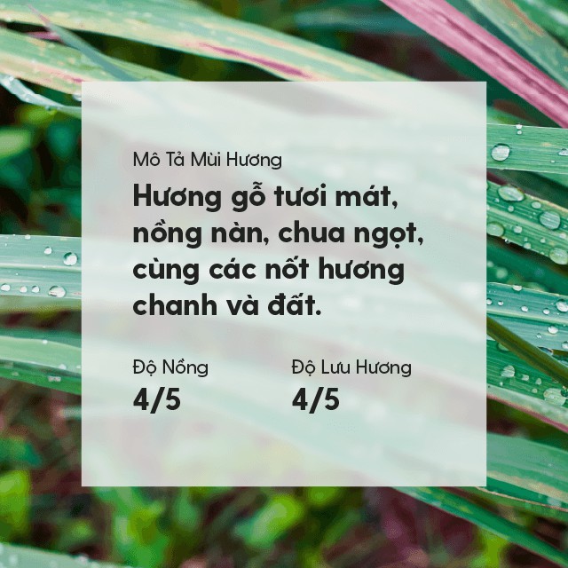 18 MÙI Tinh Dầu Đuổi Muỗi Xông Thơm Phòng Organic Thiên Nhiên Nguyên Chất Đậm Đặc HENY GARDEN
