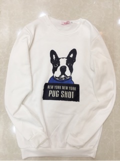ÁO SWEATER THU ĐÔNG CHÓ PUG