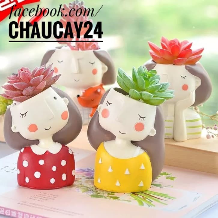 Chậu Cây Cảnh Cô Gái Trang Trí Để Bàn, Sen Đá, Xương Rồng, Tiểu cảnh terrarium