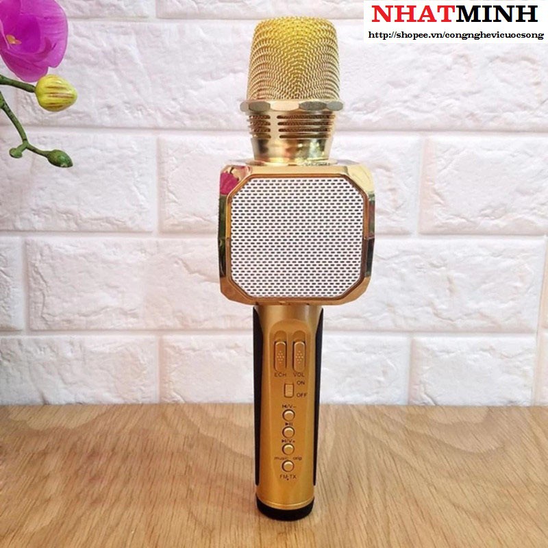 Micro Karaoke SD-10