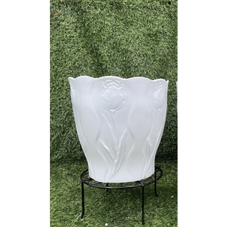 Chậu trồng cây hoa Tu líp, trồng cây, decor siêu đẹp,ảnh thật