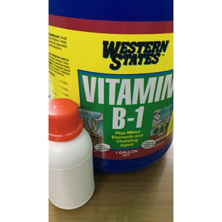 Sản phẩm Vitamin B1 Mỹ chia lọ 100ml