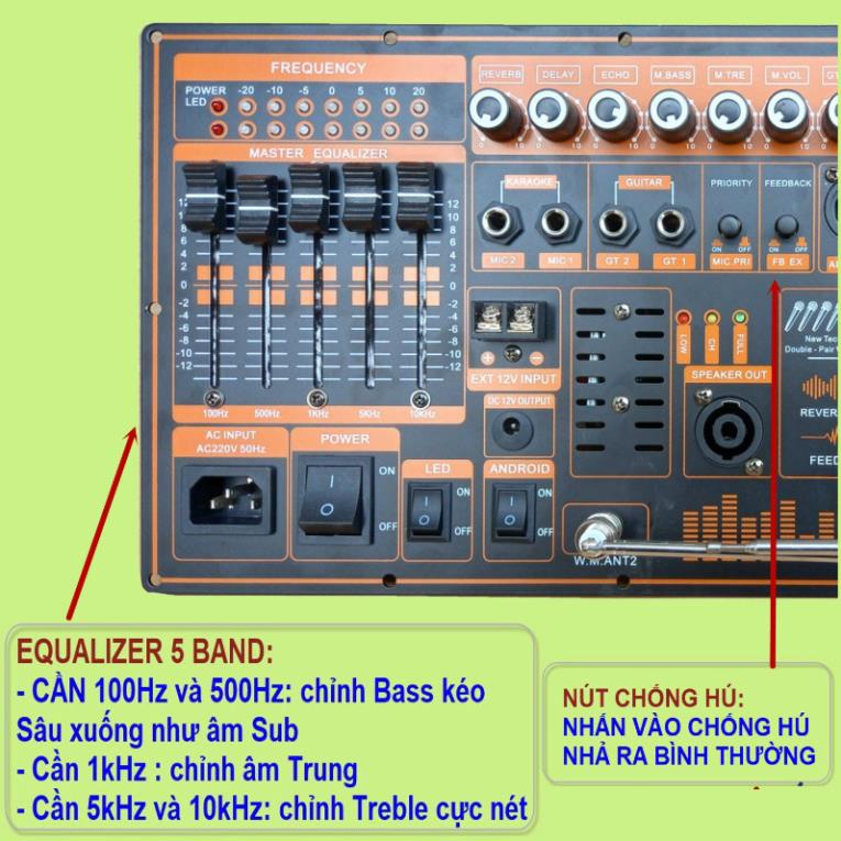 Mạch loa kéo 4 tấc đôi 2 kênh 250W + 250W DSP Reverb Echo Livestream có chống hú - Equalizer 5 Band 2 kênh riêng biệt