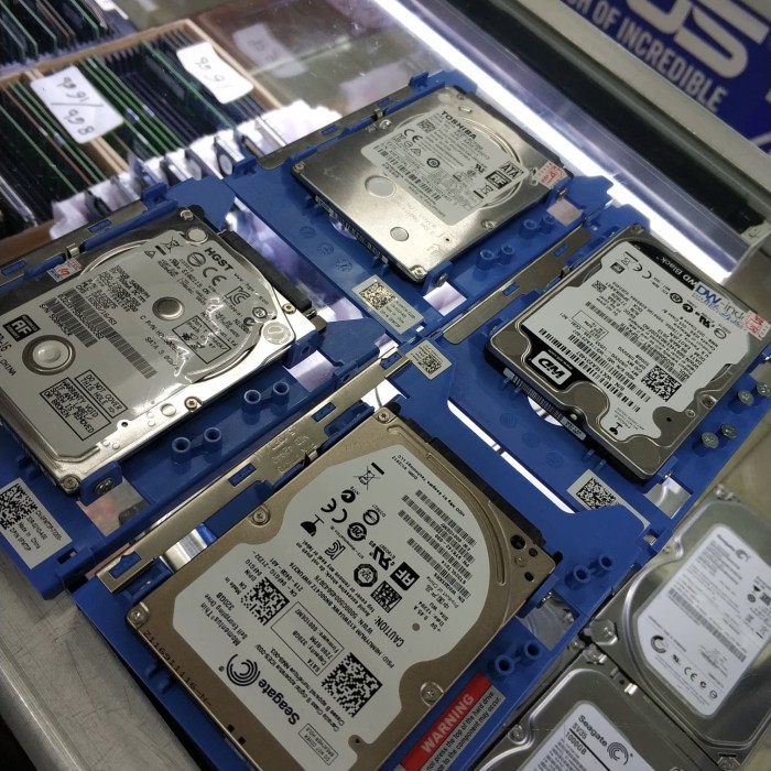 Ổ Cứng Di Động 500gb 2.5 "Inch Hdd 100% Sentinel | BigBuy360 - bigbuy360.vn