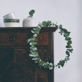 Vòng hoa khô - lá khuynh diệp khô🌿Eucalyptus🌿Lá bạc🌿Lá táo🌿Sliver dollar trang trí phong cách Bắc Âu kích cỡ 20~30cm